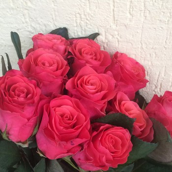 Роза "Pink Tacazzi" 50-60 см (Импорт)