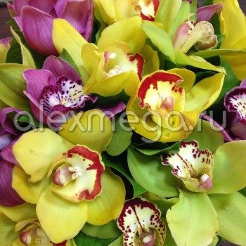 Букет из орхидеи Цимбидиум