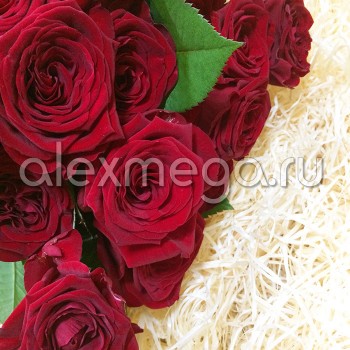 Роза 30-40 см (Россия)