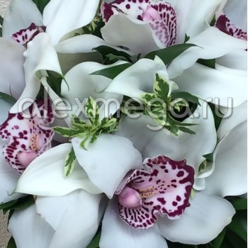 Букет невесты "Белая орхидея"